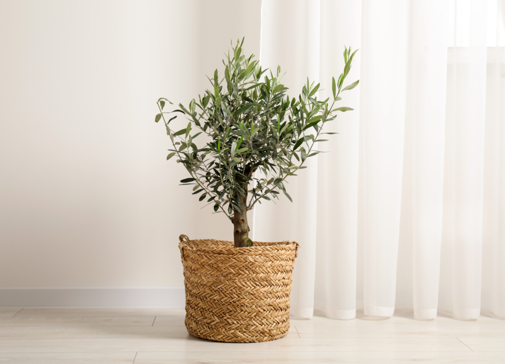 Minimalist fall home decor ideas