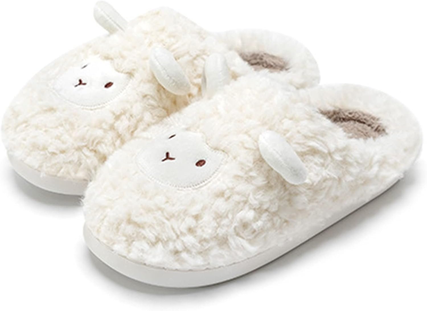 Fuzzy Slippers
