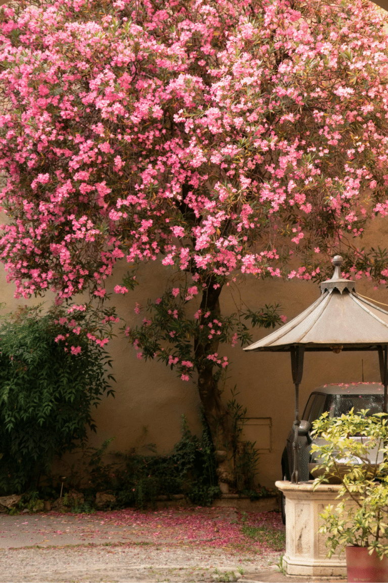 How to create a life you love