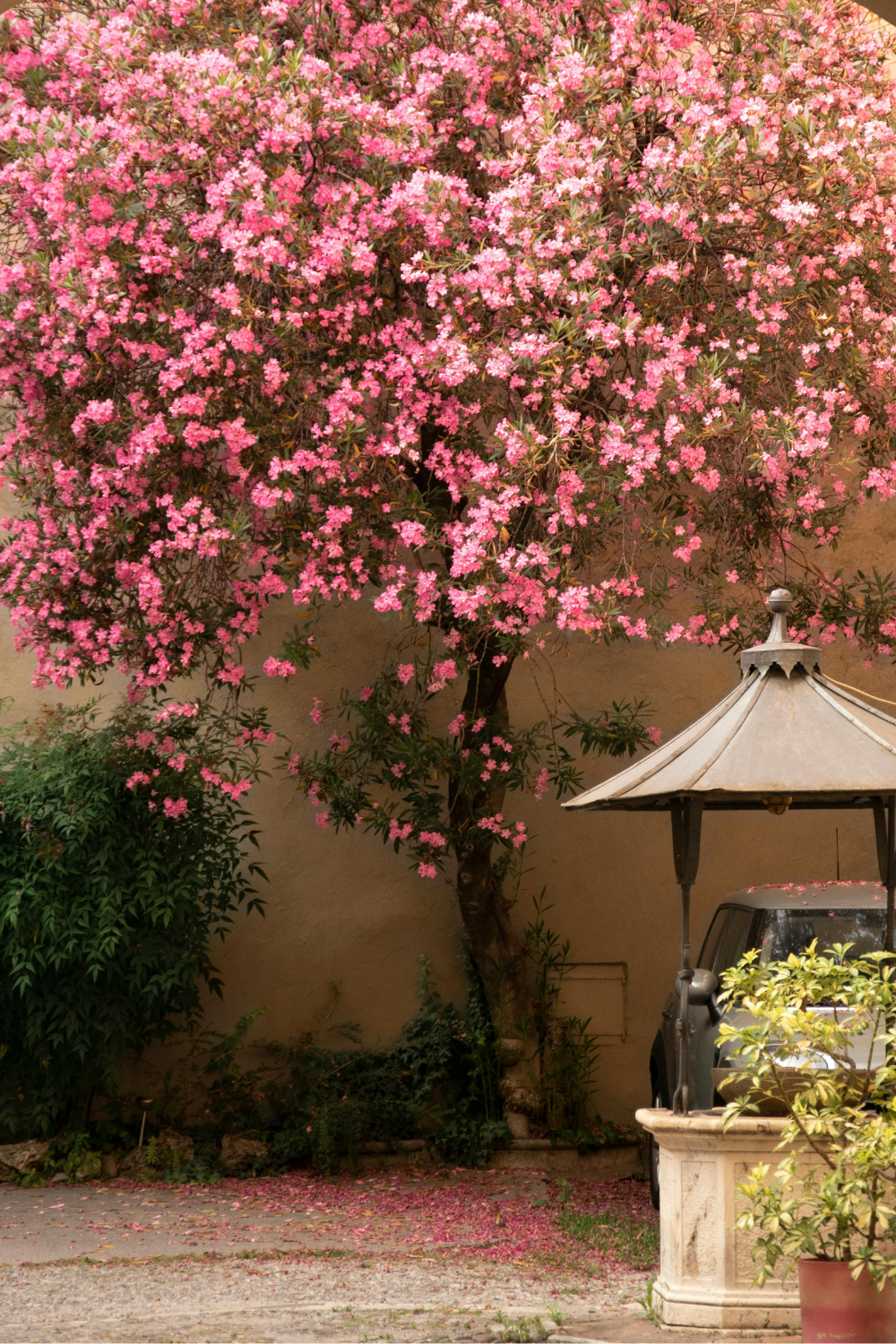 How to create a life you love