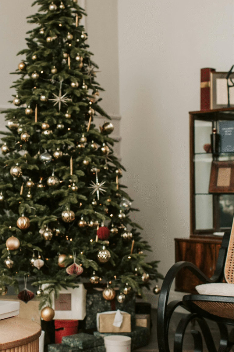 how to romanticize Christmas season.